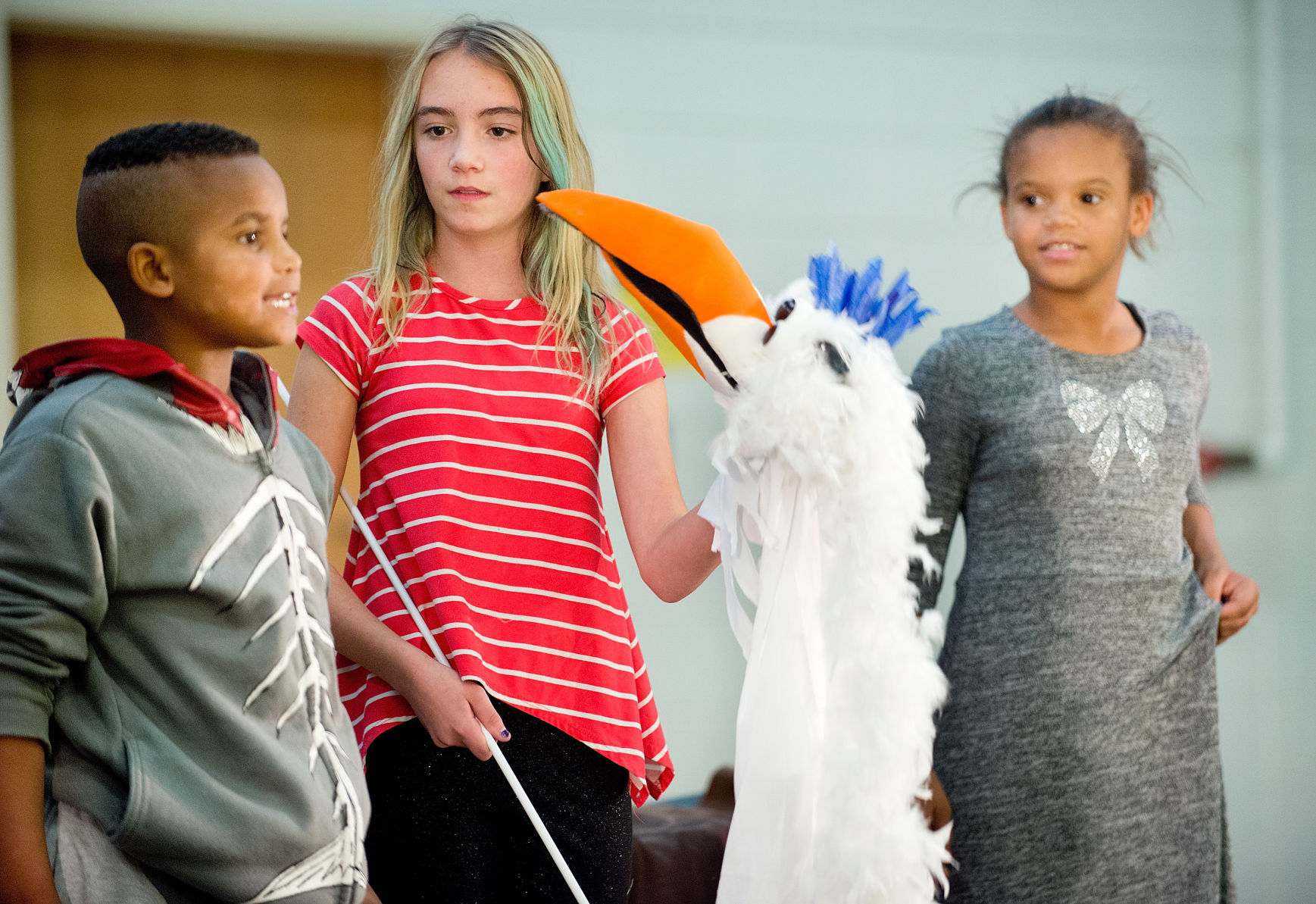 Liberty Elementary Lion King